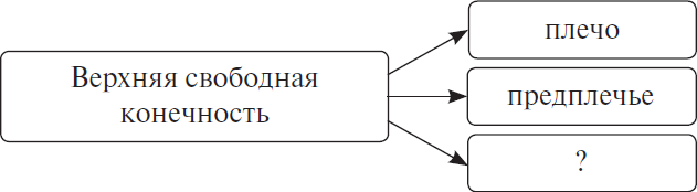 Схема о необходимости скоростных качеств