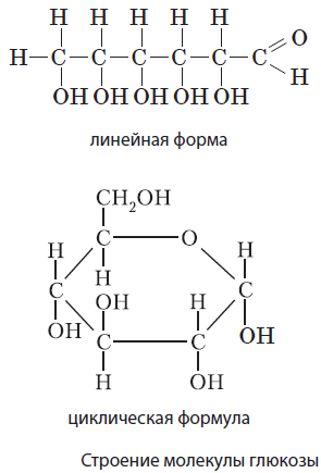 Циклическая формула глюкозы. Линейная и циклическая формула Глюкозы. Глюкоза структурная формула линейная. Формула Глюкозы в линейной форме.